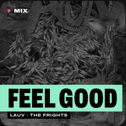 A Feel Good Mix cover drawn by Aura: a black and white artwork, Lauv and The Frights beneath
